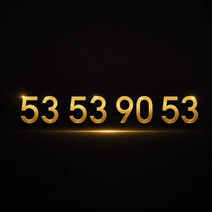 VIP NUMBER (1 foto / 1)