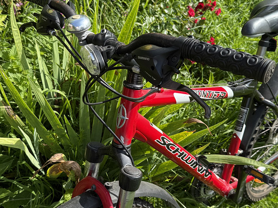 Jalgratas Schwinn GSD