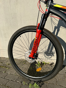 Torpado Icaro 29’’ (2 фото из 10)