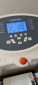 Elektriline jooksulint (2 foto / 6)