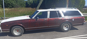 Buick Electra stationwagon 5.0 104kW (4 foto / 15)
