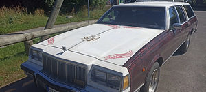 Buick Electra stationwagon 5.0 104kW (11 foto / 15)