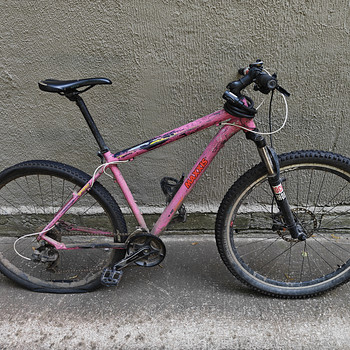 Mägiratas giant