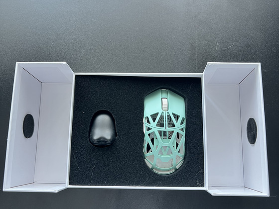 WL Mouse Beast X Mini Paw 3395