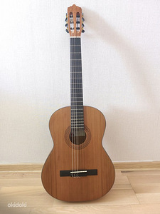 Kitarr / Kitarr (1 foto / 3)