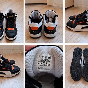 Puma tossud