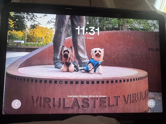 Tahvelarvuti S9 FE + 5G