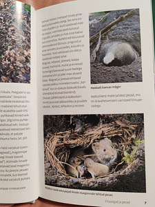 Uus! Kes need jäljed siis jättis ? (2 foto / 4)