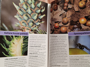 Uus! Kes need jäljed siis jättis ? (4 foto / 4)