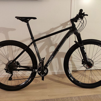 MTB XC 290 White Pro