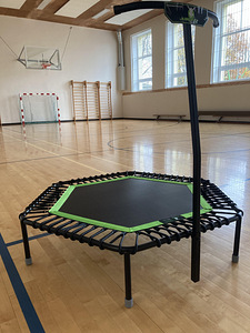 Батут для jumping fitness (5 фото из 6)
