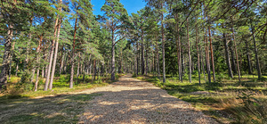 Tallinna tn 39, Loksa, Harjumaa (10 foto / 23)