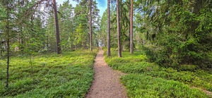 Tallinna tn 39, Loksa, Harjumaa (19 foto / 23)
