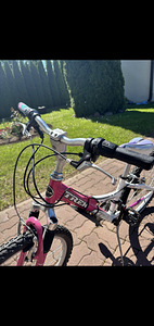 Laste jalgratas Trek MT220 ("20") (1 foto / 5)