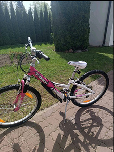 Laste jalgratas Trek MT220 ("20") (3 foto / 5)
