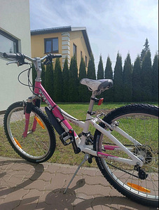 Laste jalgratas Trek MT220 ("20") (4 foto / 5)