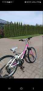 Laste jalgratas Trek MT220 ("20") (5 foto / 5)