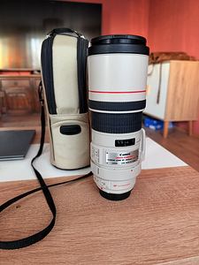 Canon EF 300mm 1:4 L IS + Canon Extender EF 1.4x II (2 foto / 4)
