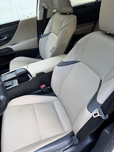 Auto Lexus ES300h (8 foto / 13)