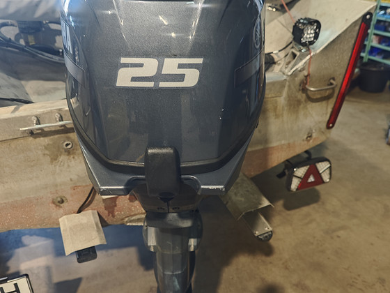 Yamaha F25