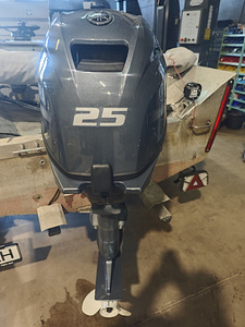 Yamaha F25 (1 фото из 8)