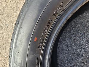 Bridgestone Alenza 225/65R17 (8 foto / 10)