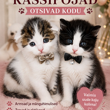 Котёнок