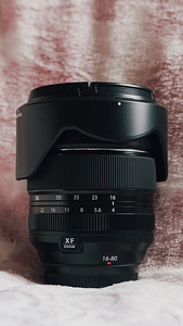 Fujifilm X-T5 (5 фото из 7)