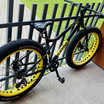 Classic fat bike