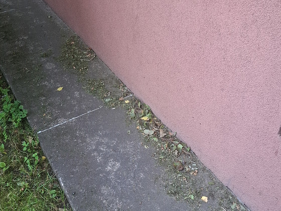 Otsin õhtust lisatööd