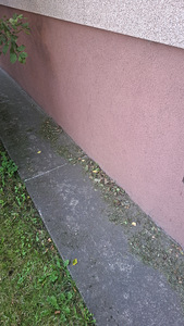 Otsin õhtust lisatööd (1 foto / 1)