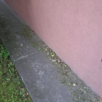 Otsin õhtust lisatööd