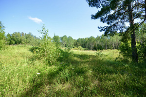 Intsu, Roobaka, Saaremaa vald, Saaremaa (5 фото из 23)