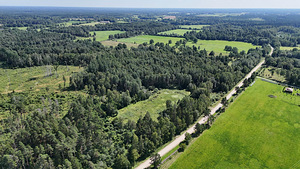Intsu, Roobaka, Saaremaa vald, Saaremaa (6 фото из 23)