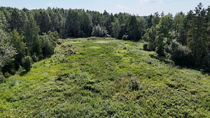Intsu, Roobaka, Saaremaa vald, Saaremaa (7 фото из 23)