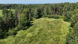 Intsu, Roobaka, Saaremaa vald, Saaremaa (12 фото из 23)