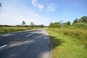 Intsu, Roobaka, Saaremaa vald, Saaremaa (21 фото из 23)