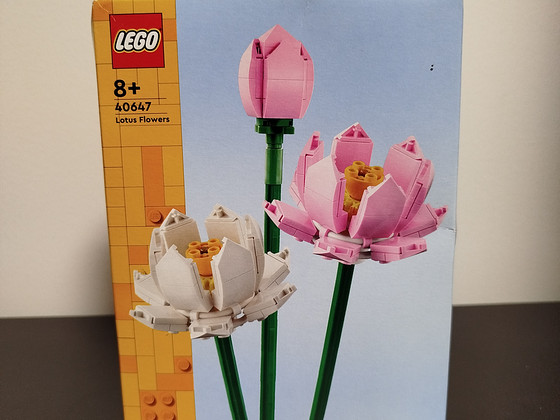 LEGO 40647 Flowers