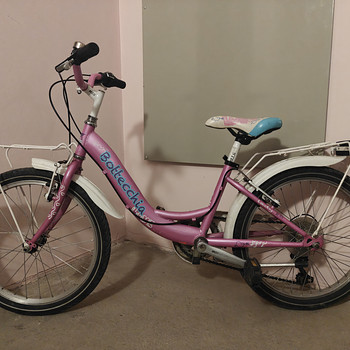 Bottecchia 24"