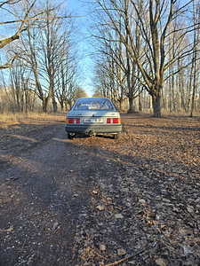 Ford sierra (2 foto / 9)