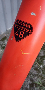 FAT BIKE BOTTECCHIA SENALES 26" (7 фото из 10)
