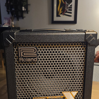 Гитарный усилитель Roland CUBE-20X