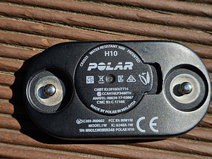 Polar H10 pulsivöö (4 foto / 4)
