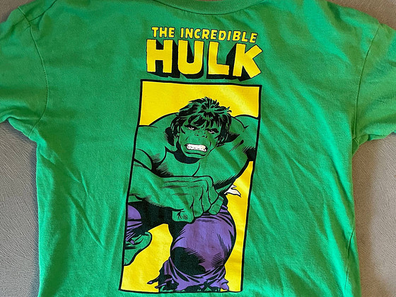 The Incredible Hulk poiste t-särk