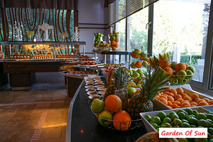 GARDEN OF SUN HOTEL (8 фото из 10)
