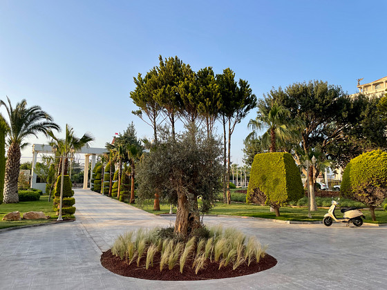 LAUR HOTEL EXPERIENCE & LAUR HOTELS ELEGANCE