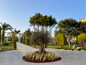 LAUR HOTEL EXPERIENCE & LAUR HOTELS ELEGANCE (1 foto / 10)