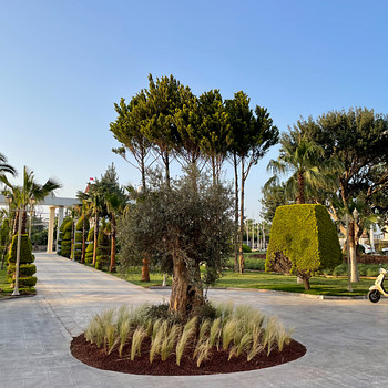 LAUR HOTEL EXPERIENCE & LAUR HOTELS ELEGANCE