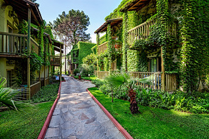 GYPSOPHILA CLUB MARINE HOTEL (3 foto / 10)