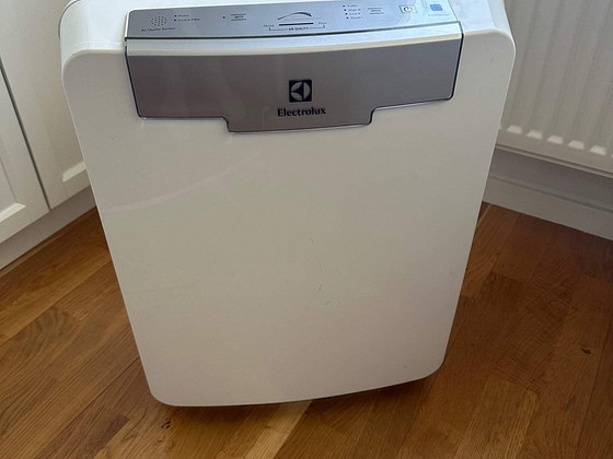 Õhupuhastaja Electrolux EAP300 õhupuhasti